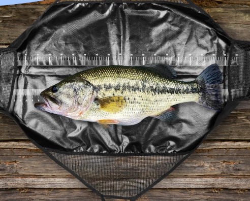 Fotografiert Angeln Aushaken M – Fishing Bag Waterproof Bewertung und Preis